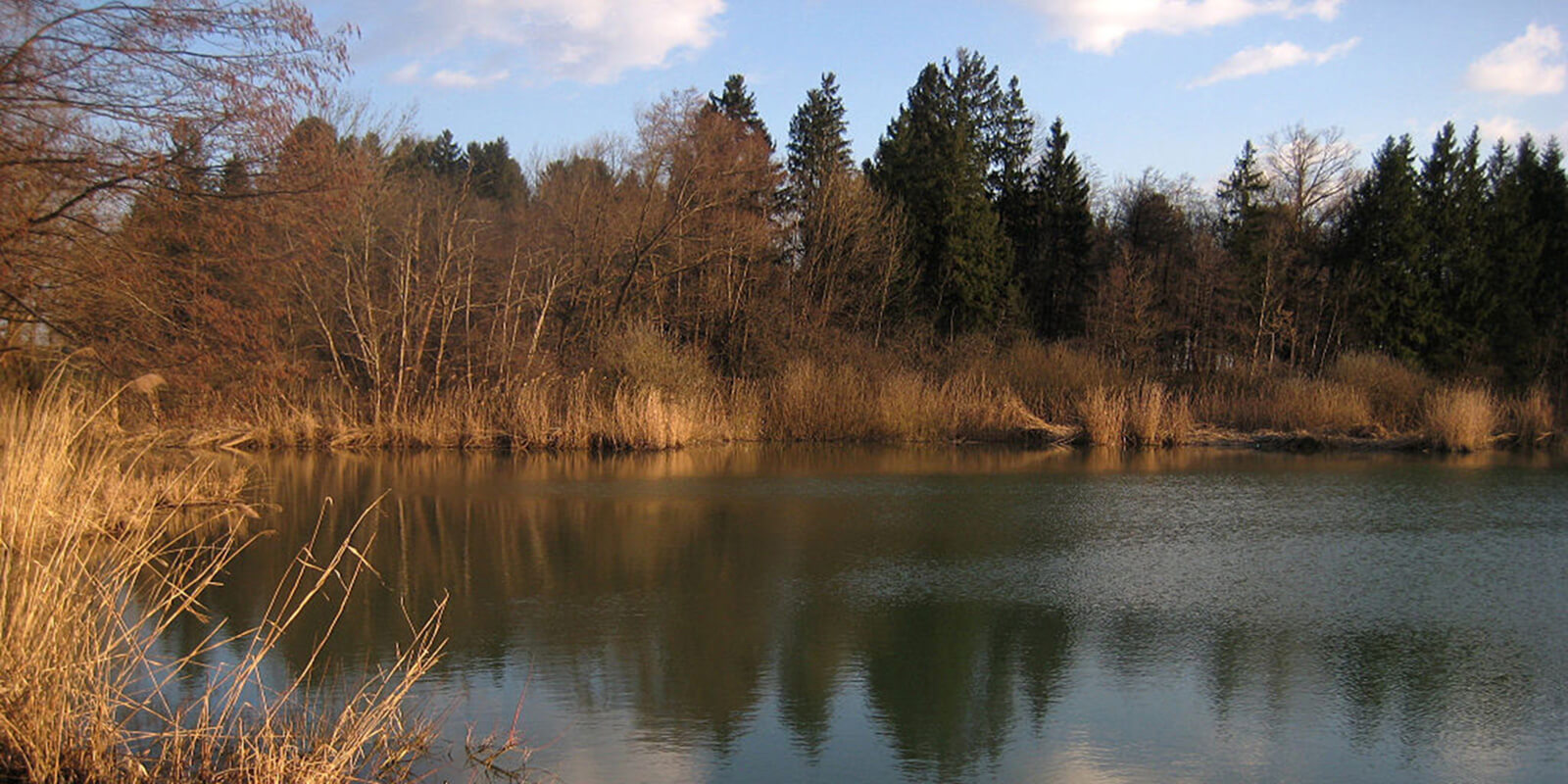 Zaliti glinokopi opekarne v Bobovku
Fotografija iz spleta