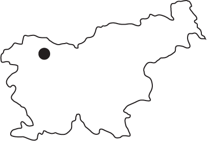  -46.295187 14.214860