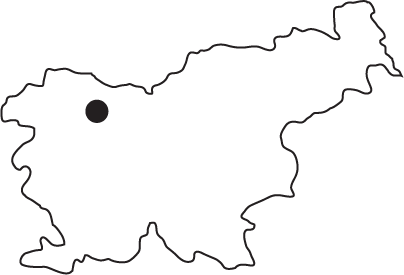  -46.319989 14.245295