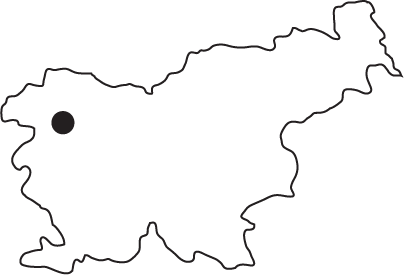  -46.190264 13.730490