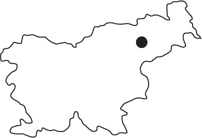  -46.389827 15.664081
