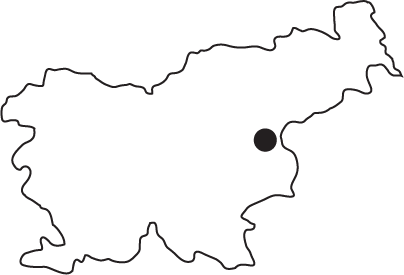  -46.038815 15.607954